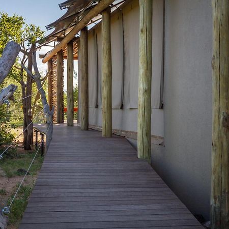 Imagine Africa Luxury Tented Camp 발룰레 게임 리저브 외부 사진