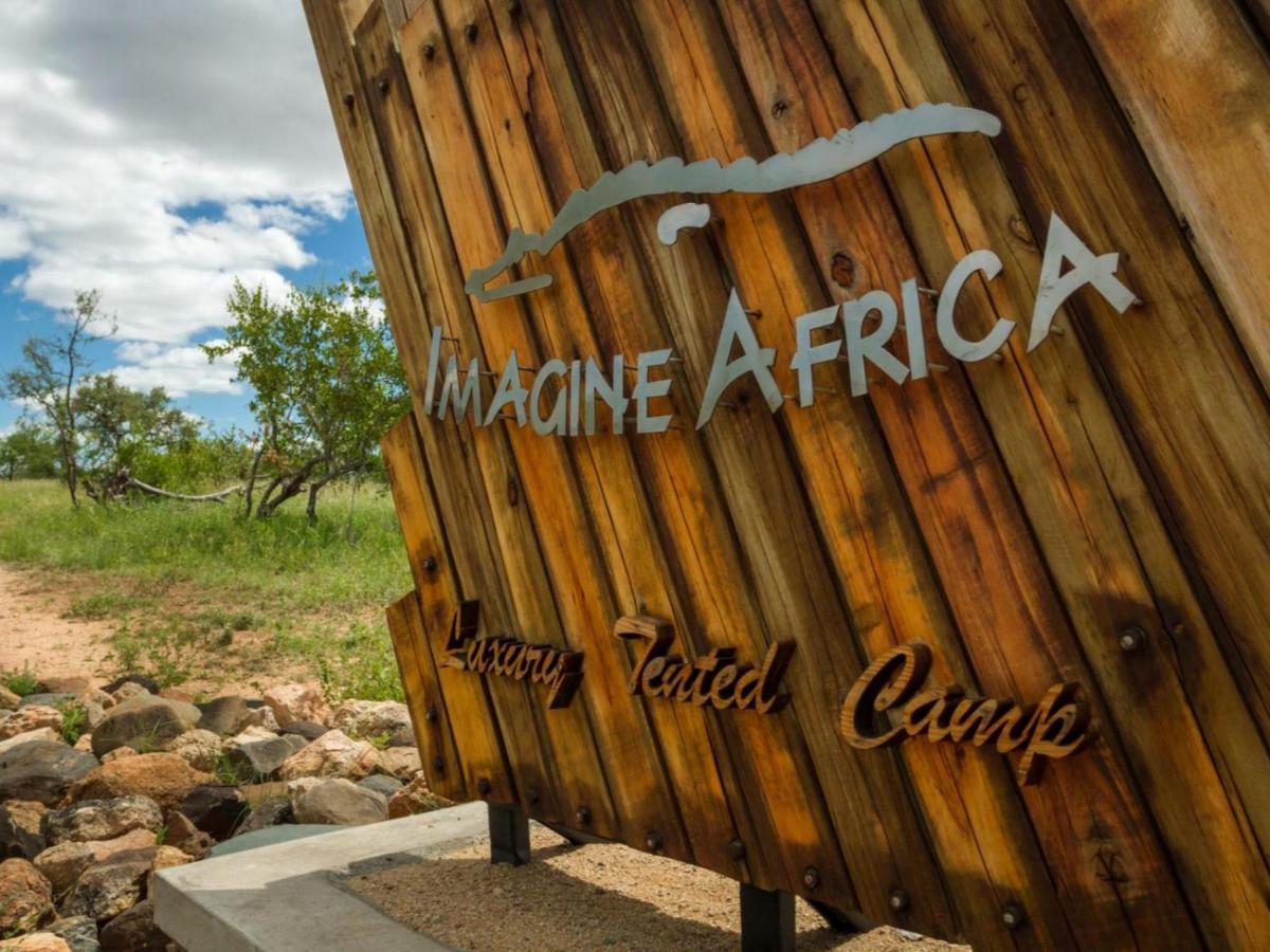 Imagine Africa Luxury Tented Camp 발룰레 게임 리저브 외부 사진