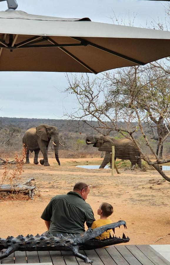 Imagine Africa Luxury Tented Camp 발룰레 게임 리저브 외부 사진