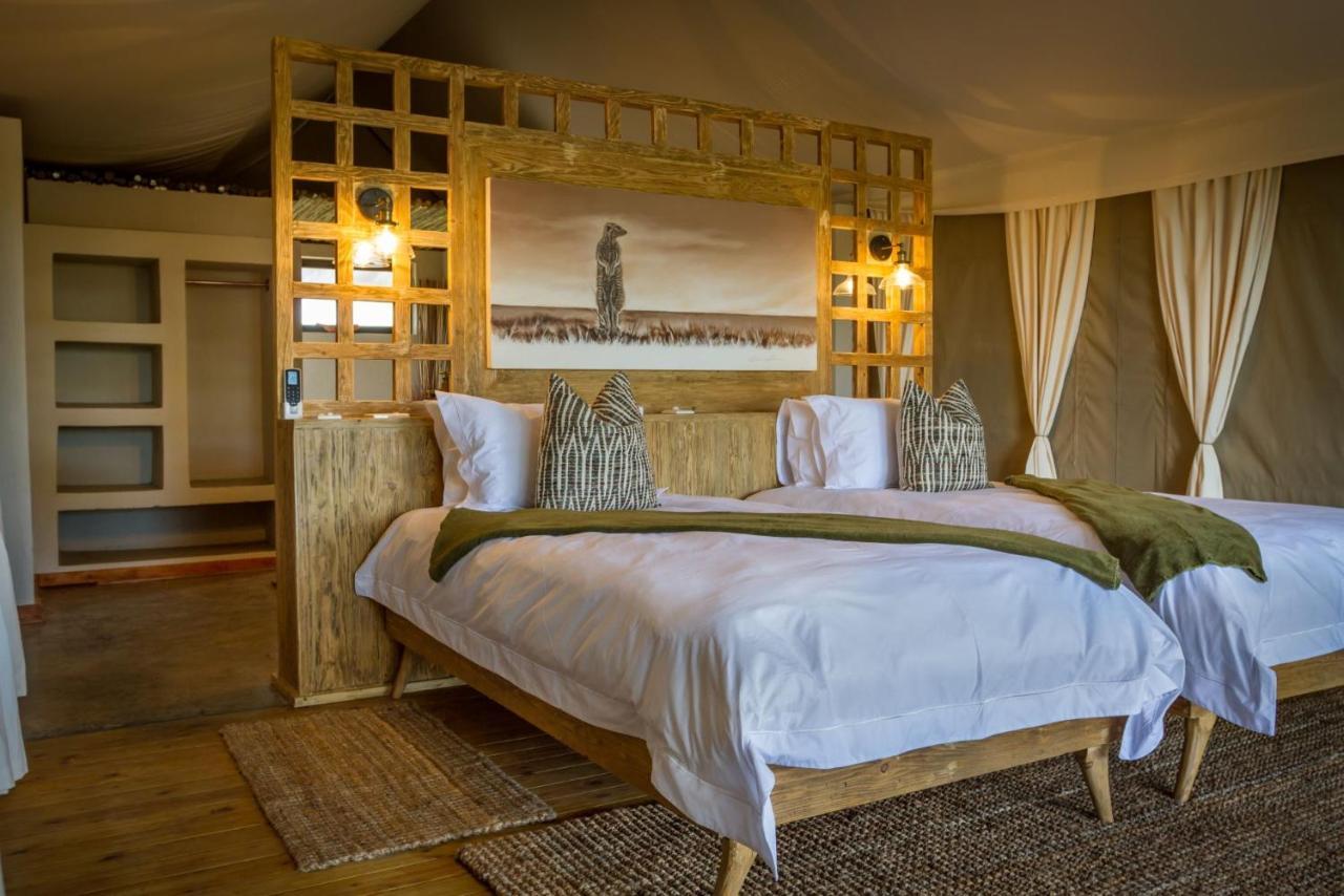 Imagine Africa Luxury Tented Camp 발룰레 게임 리저브 외부 사진