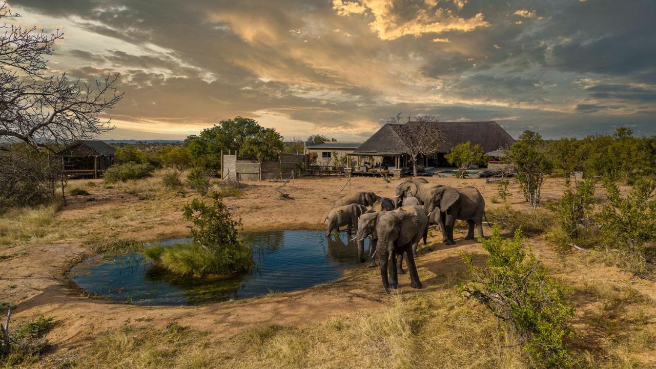 Imagine Africa Luxury Tented Camp 발룰레 게임 리저브 외부 사진