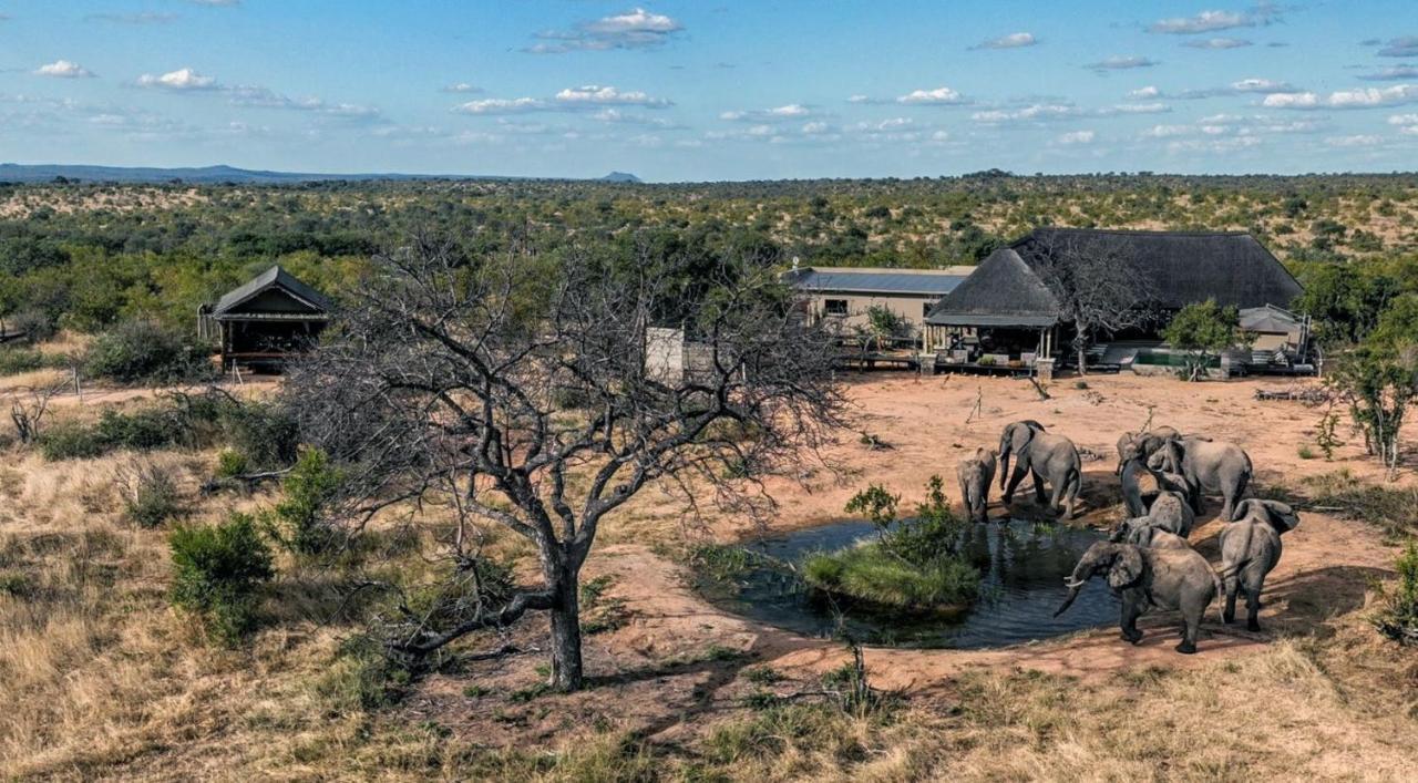 Imagine Africa Luxury Tented Camp 발룰레 게임 리저브 외부 사진