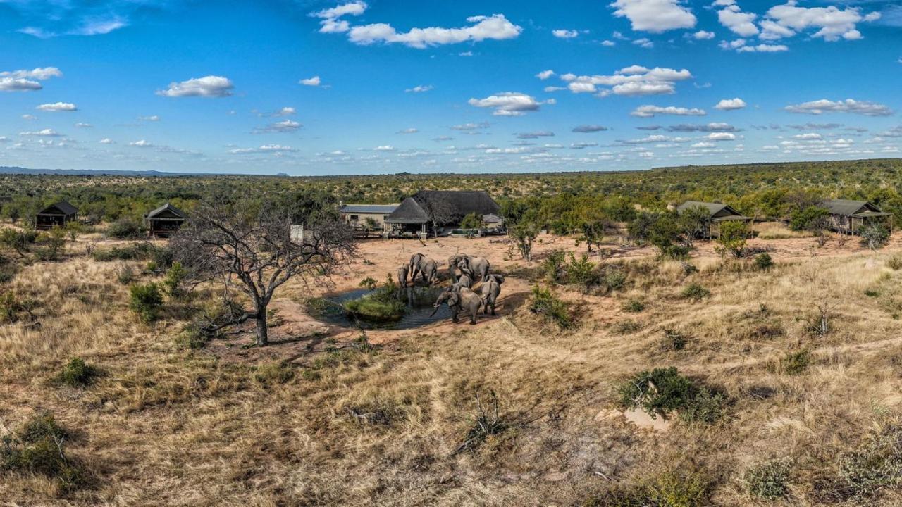 Imagine Africa Luxury Tented Camp 발룰레 게임 리저브 외부 사진