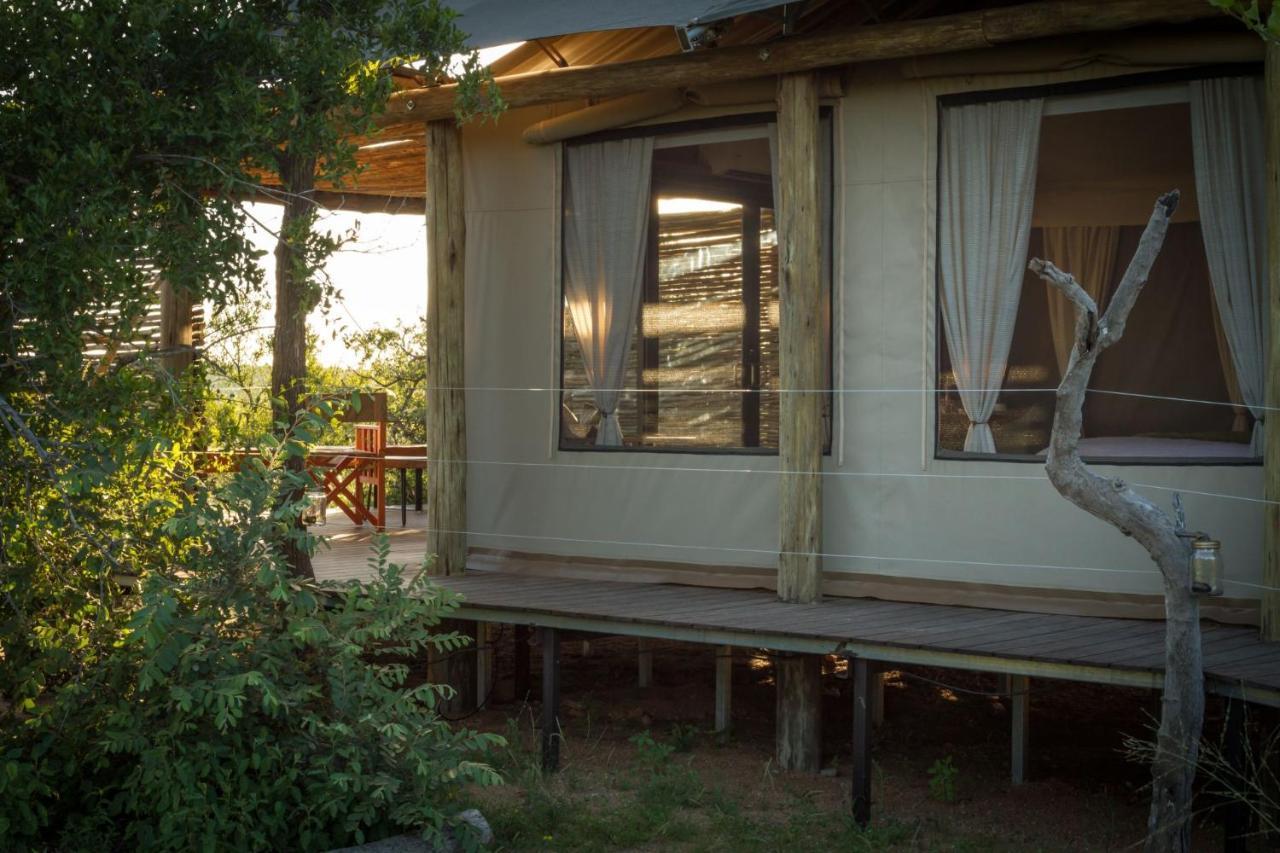 Imagine Africa Luxury Tented Camp 발룰레 게임 리저브 외부 사진