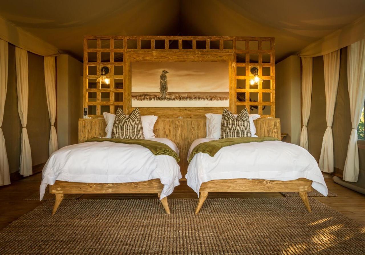 Imagine Africa Luxury Tented Camp 발룰레 게임 리저브 외부 사진