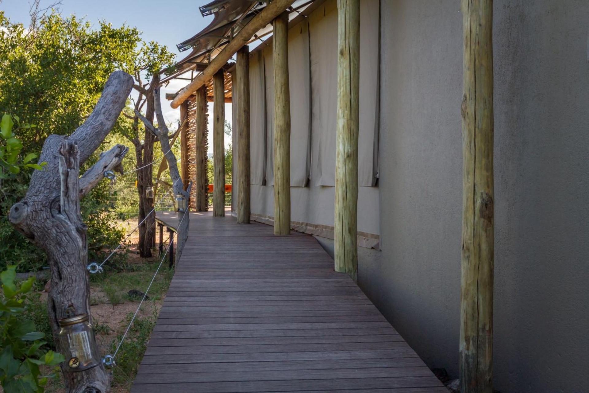 Imagine Africa Luxury Tented Camp 발룰레 게임 리저브 외부 사진